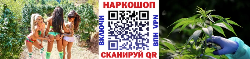Где купить Курск Кокаин  A PVP  Конопля  OMG   Мефедрон 