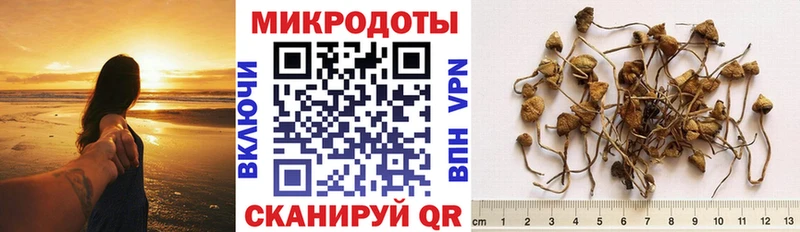 omg рабочий сайт  где купить наркотик  Курск  Галлюциногенные грибы GOLDEN TEACHER 